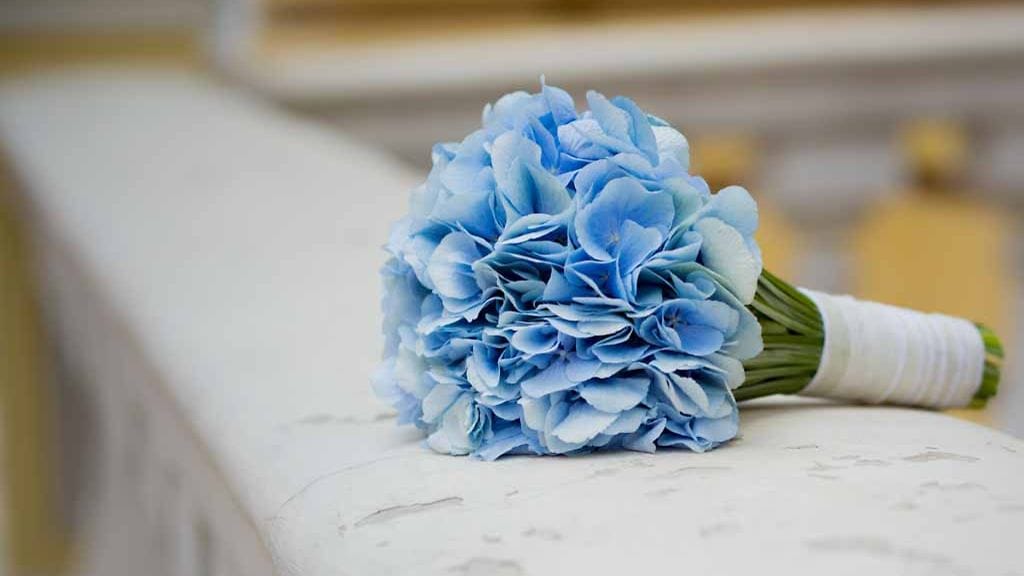 COLOURBOX11481358005