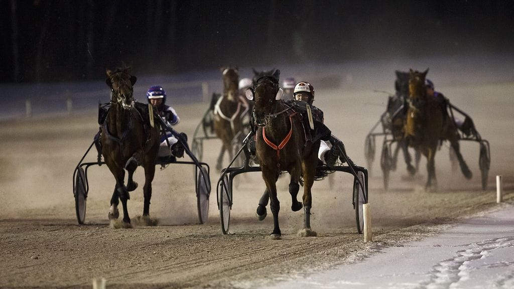 Oikea marraskuinen Toto4-rivi ratkeaa tänään Seinäjoella. Kuvituskuva.
