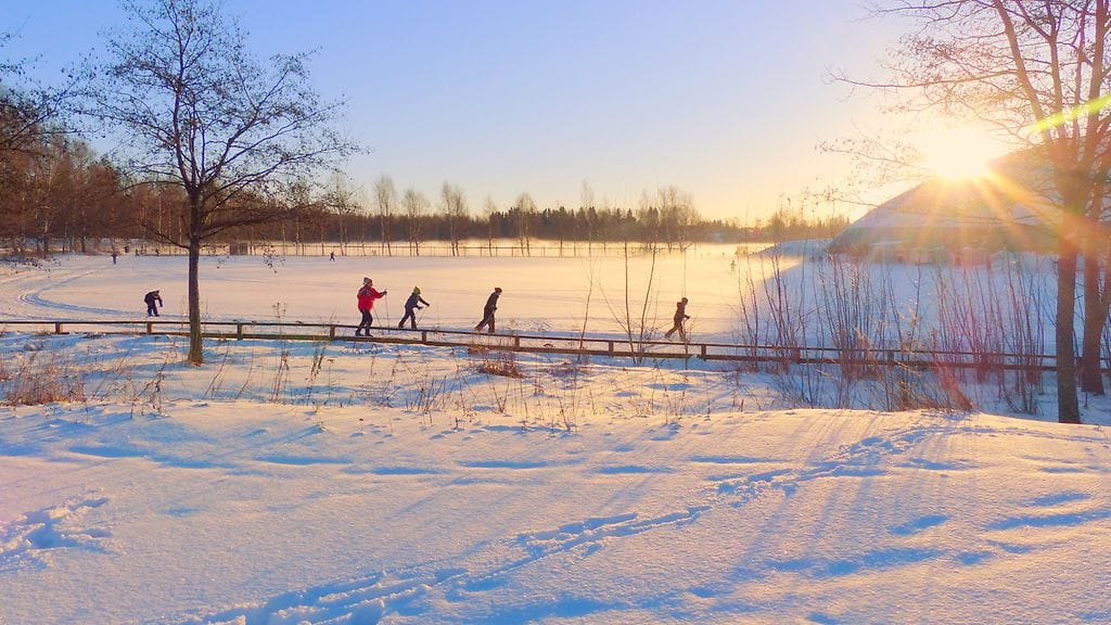Hiihtäjiä Vaasassa 15. tammikuuta 2015. Lukijan kuva: Matti Hietala