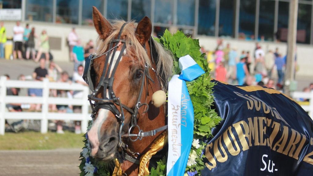 Turoveli starttaa tänään Kouvolan Toto4-kierroksen avauskohteessa.