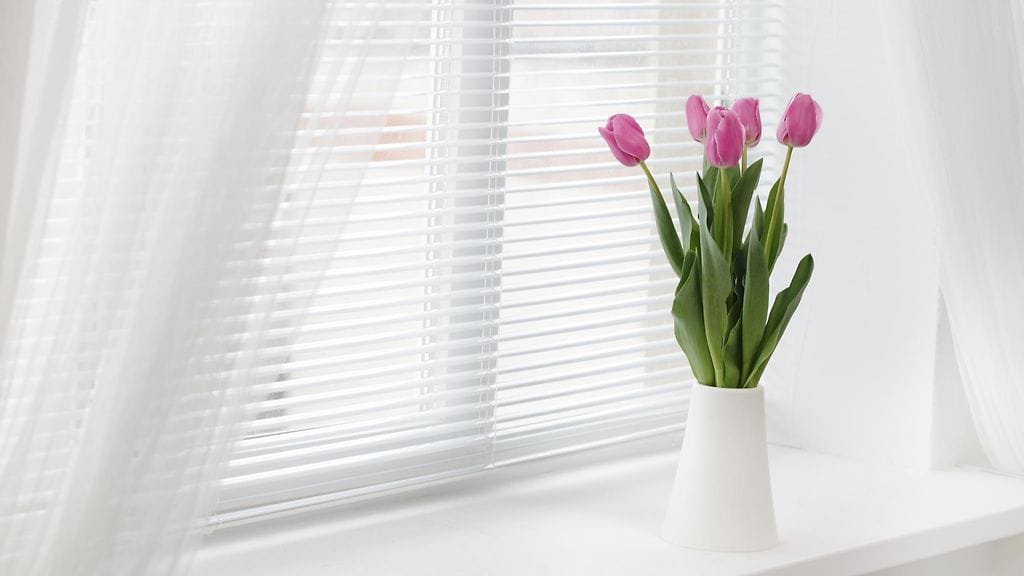 Tulppaanit ennakoivat tulevaa kevättä.