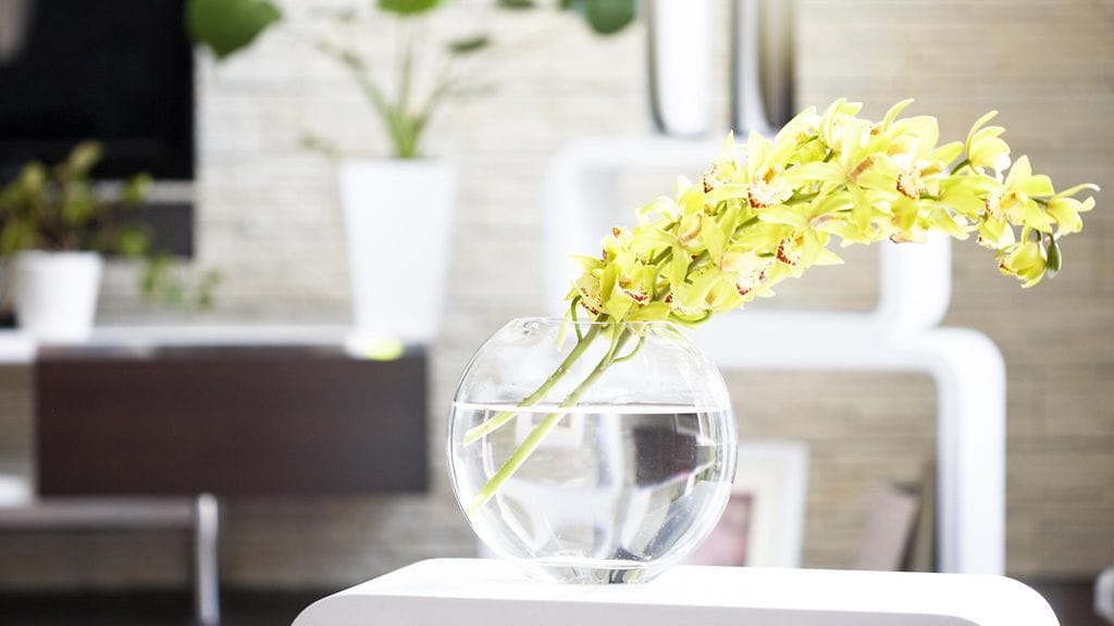 shutterstock_166986770