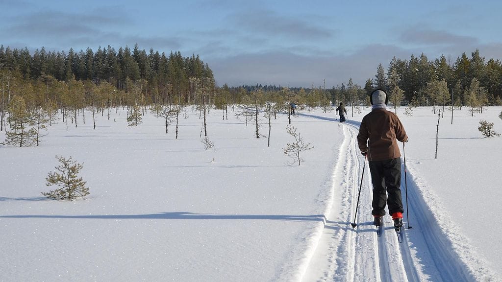 Jo pelkkä sunnuntaihiihto auttaa ylläpitämään terveyttäsi.