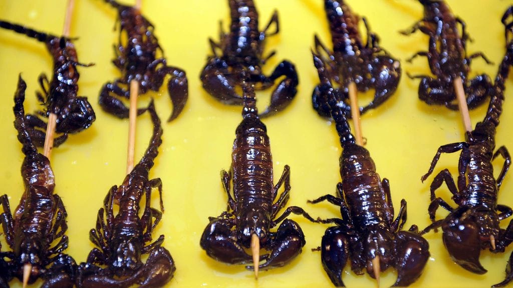 Skorpionit kuuluvat kiinalaisen keittiön ruokalistalle. Kuvituskuva.