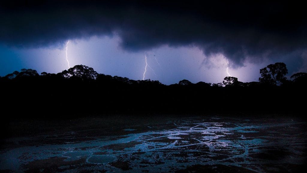 NOAA jakoi Twitter-tilillään kahdeksan sekunnin videon, jolla salama iskee puuhun.