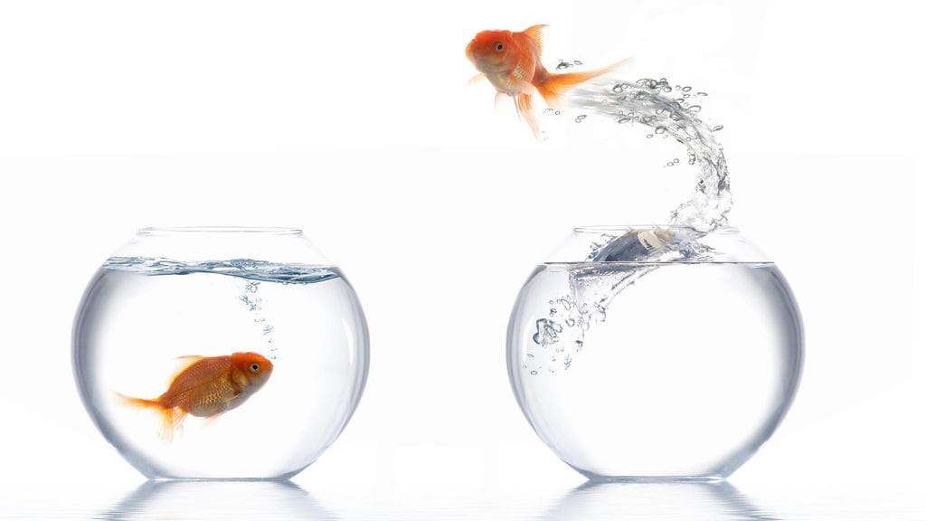 Photoshop-mokat jutun kuva5