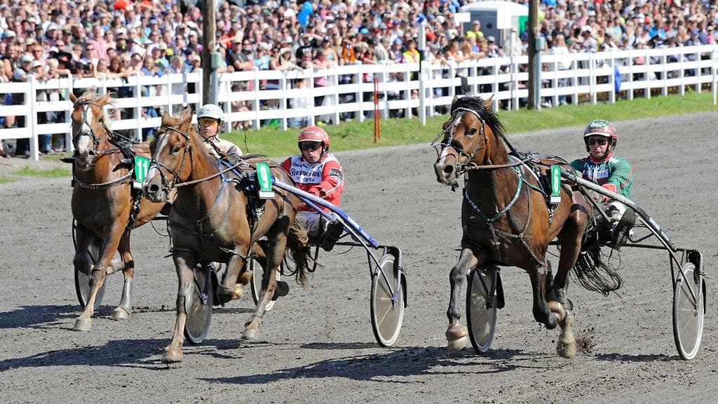 Frankker vauhdissa loppusuoralla.