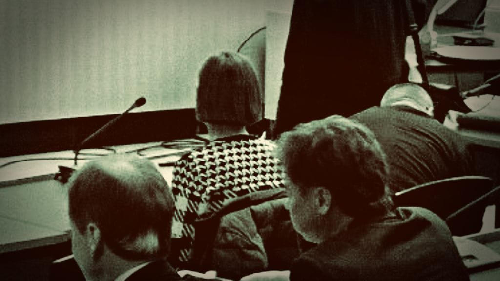 Vilja Eerika -tapauksen viranomaishaaran käsittely alkoi maanantaina Helsingin käräjäoikeudessa.