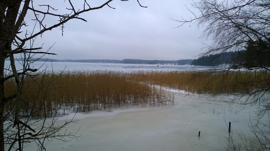Vitträskin jäitä Kirkkonummella 21. helmikuuta 2015.