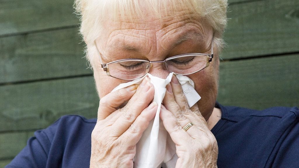 Kärsitkö keväisin siitepölyallergioista? Kuvituskuva.