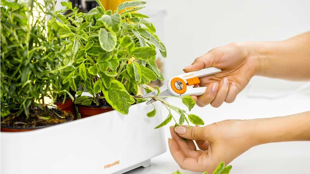 HerbGarden_HerbandFlowerSnip_3_00123_22760