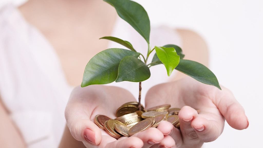 Raha ei kasva puussa – eikä oikein säästötililläkään.