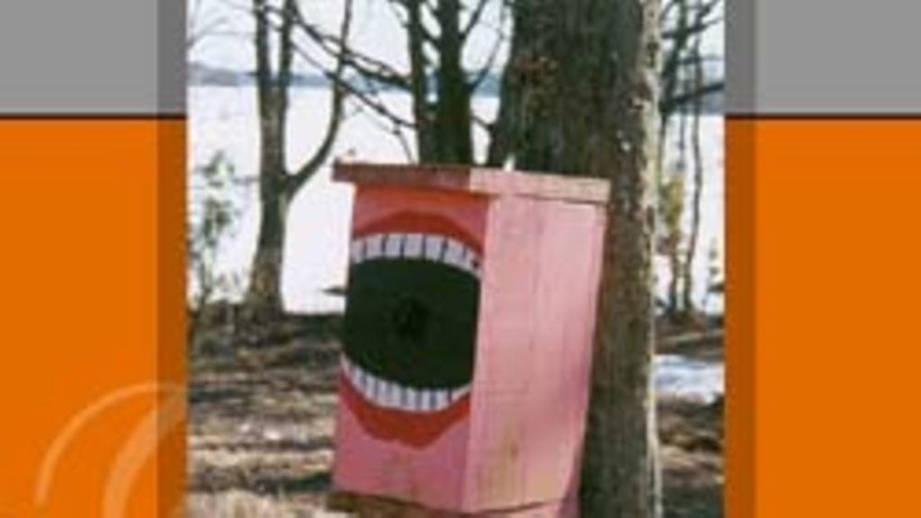 Ihana aamu