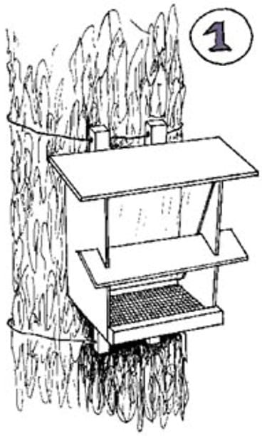 Lintujen ruokinta-automaatin rakentaminen, kuva 1