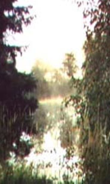 Ihana aamu