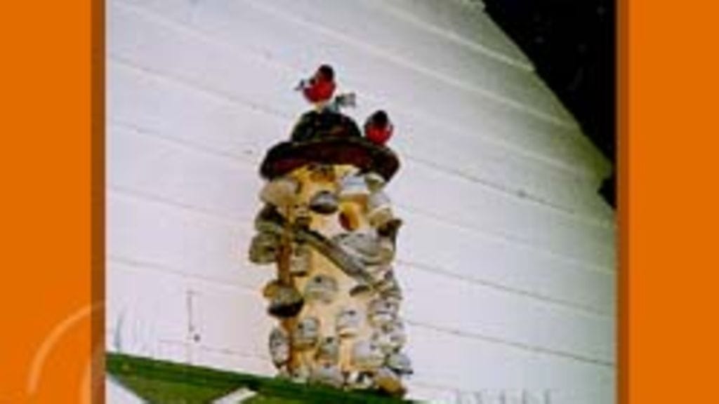 Ihana aamu