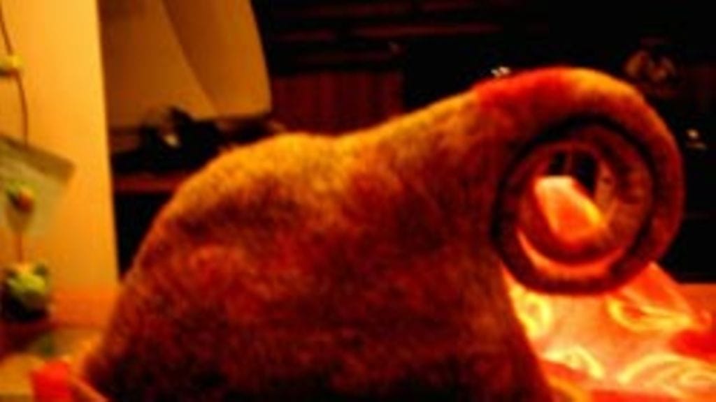 Ida Laurikainen, Heinola