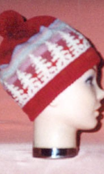 Terttu Pulkkinen, Jyväskylä