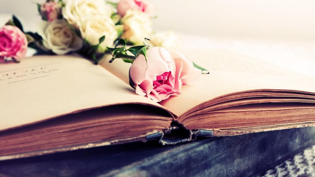 ruusu, historia, kirja, rakkaus