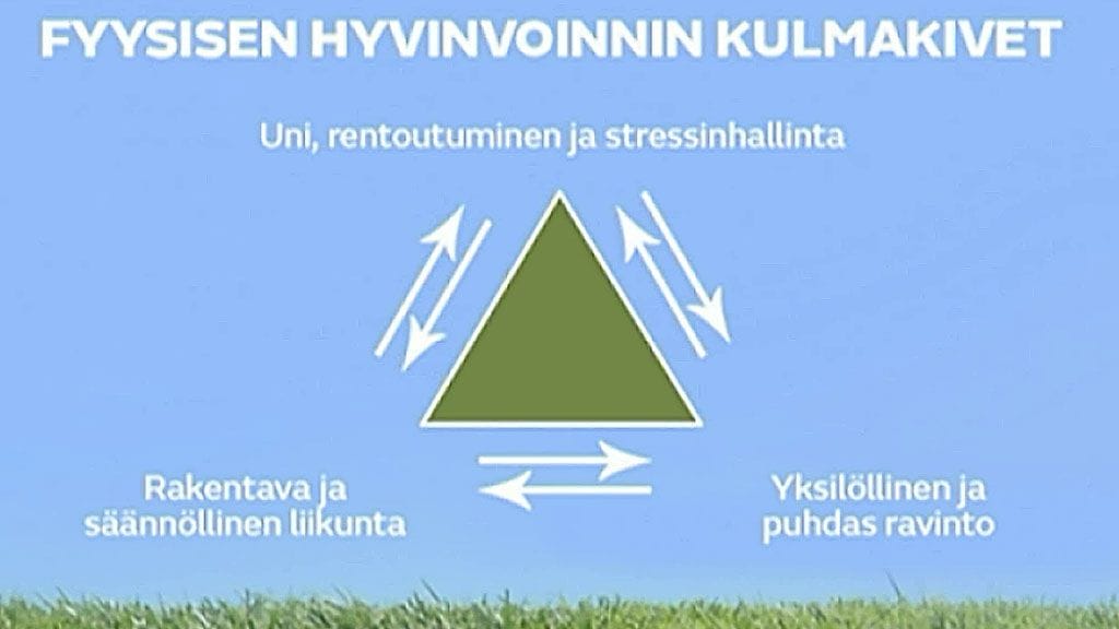 fyysisenhyvinvoinninkulmatkivet