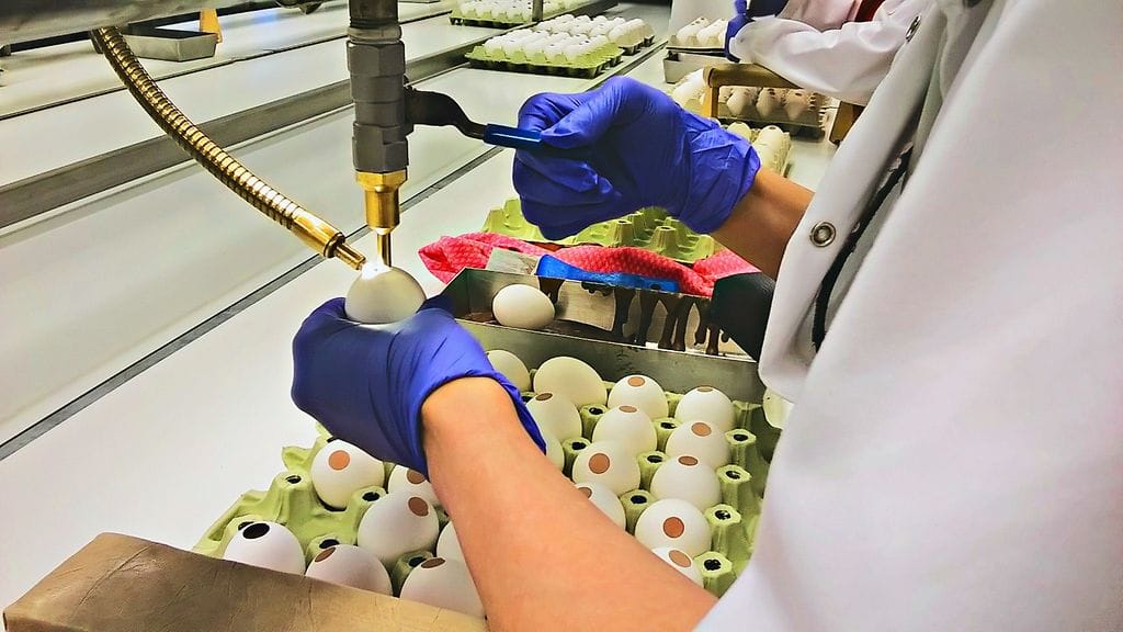 WP_20150119_12_12_46_Pro (2)