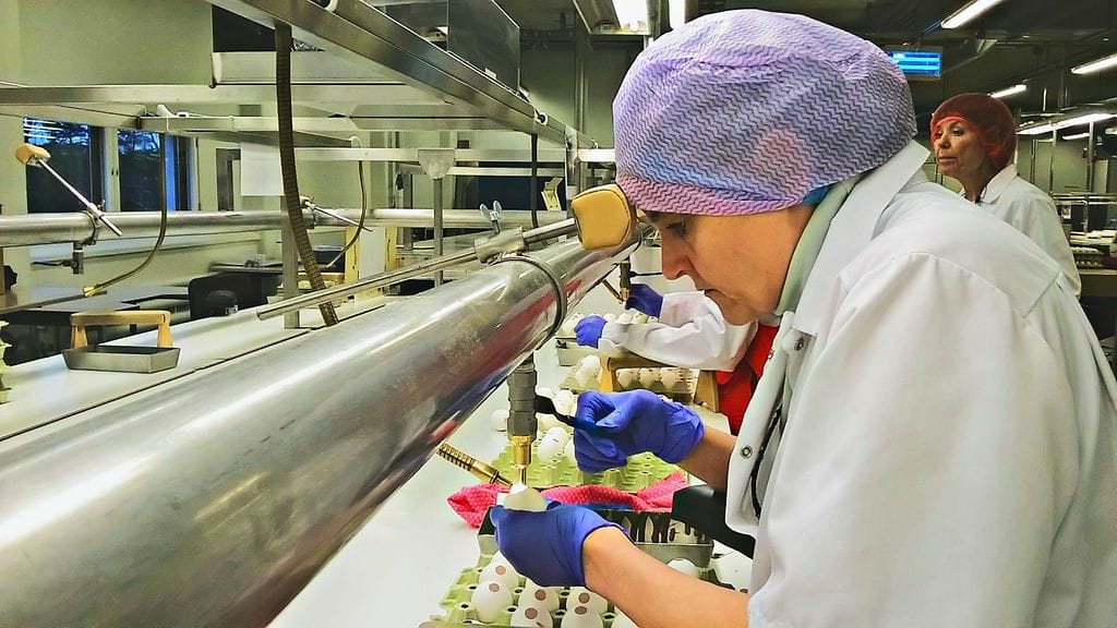 WP_20150119_12_12_55_Pro (2)