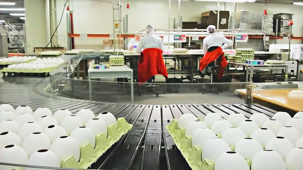 WP_20150119_12_28_43_Pro