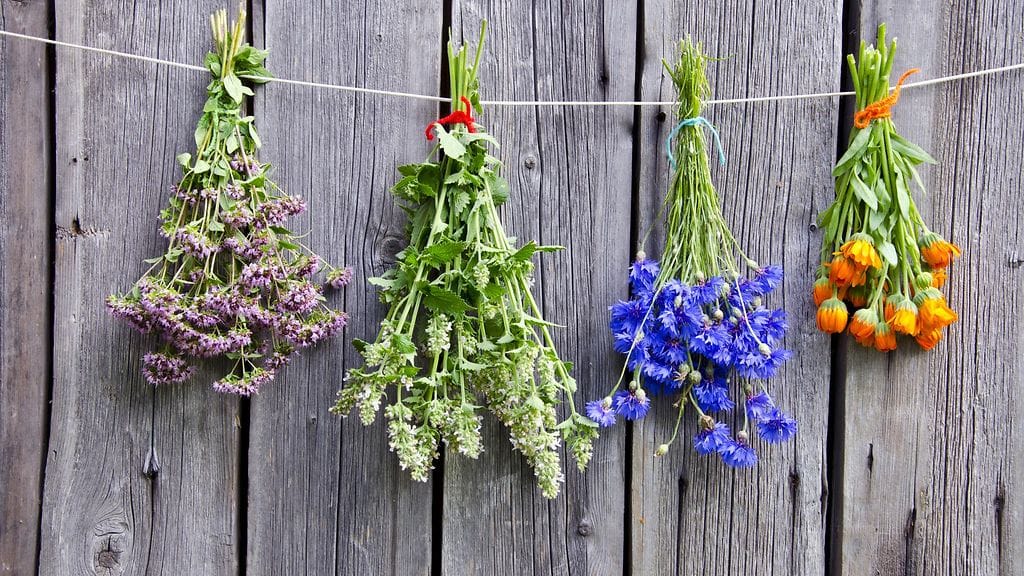 aromaterapia, kasvit