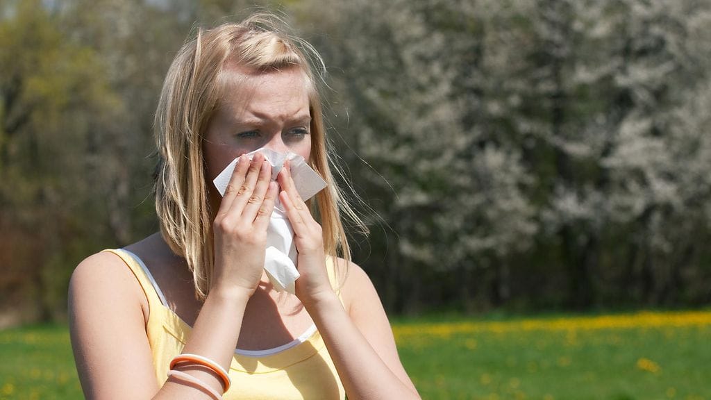 Usein vähätelty allerginen nuha ei ole pikkuvaiva, vaan se tekee arjen raskaammaksi.