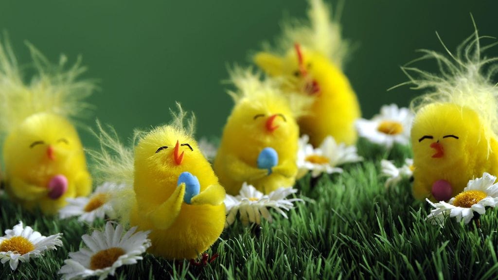 Perinteiset keltaiset tipuset koristavat pääsiäisruohoa.