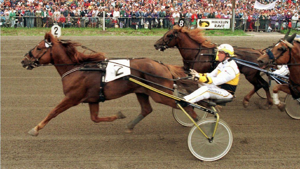 Viesker on kaikkien aikojen menestynein suomenhevonen.