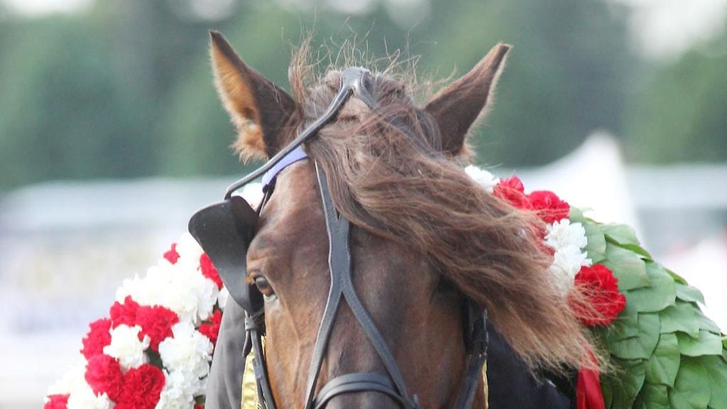Kuningas palaa pistämään alamaisensa järjestykseen jo tässä kuussa.