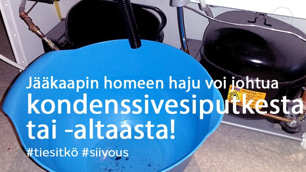 Kuukauden parhaat jutut -artikkeli maaliskuussa