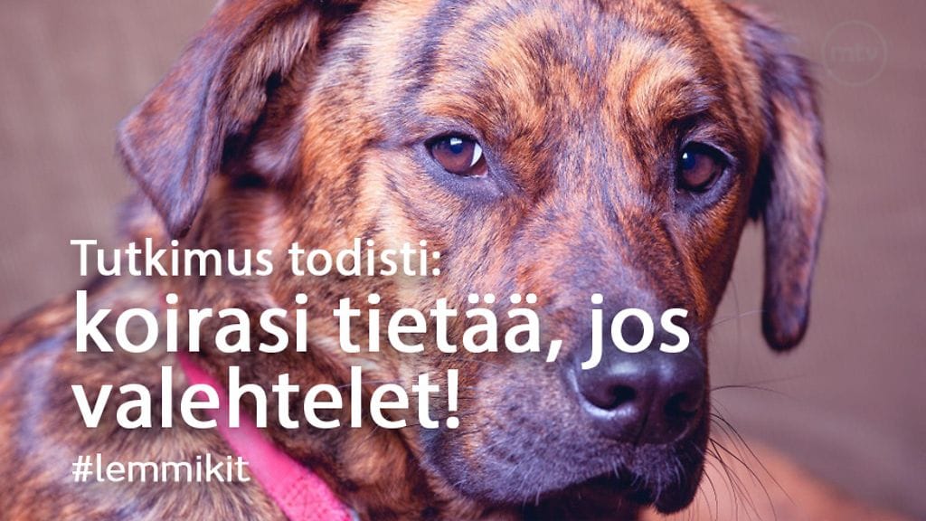Kuukauden parhaat jutut -artikkeli maaliskuussa 2