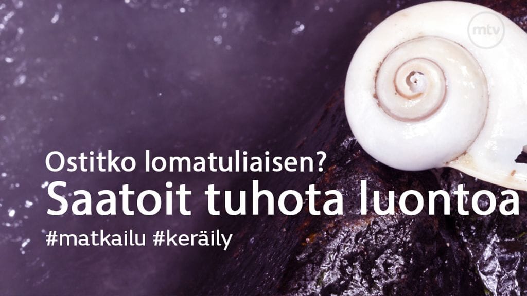 Kuukauden parhaat jutut -artikkeli maaliskuussa 3'