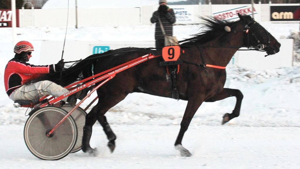 Thelma Zetin velipuoli Leemark's August (kuvassa) on myös menestynyt ravuri. Kuvassa tulee Pilvenmäki Special -suurkilpailuvoitto.