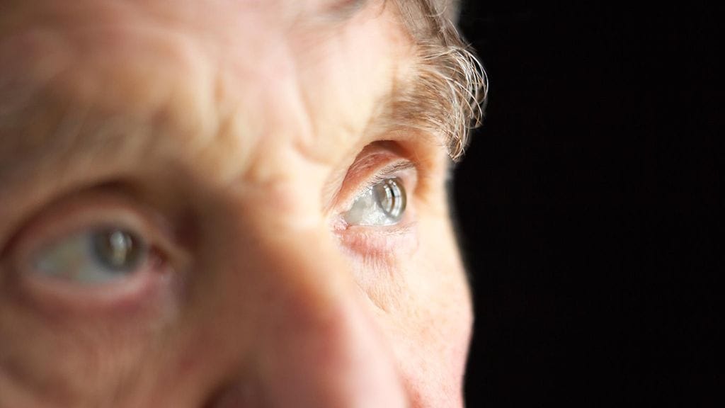 Eri-ikäisillä on omat älylliset vahvuutensa riippuen katsontakannasta.