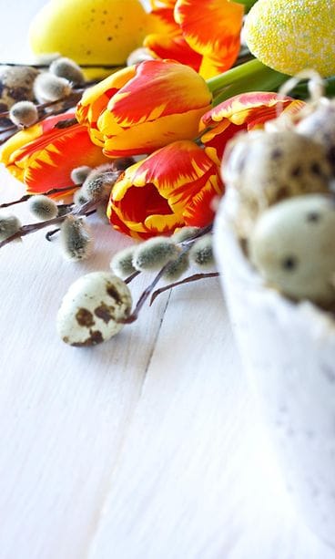 shutterstock_176904287