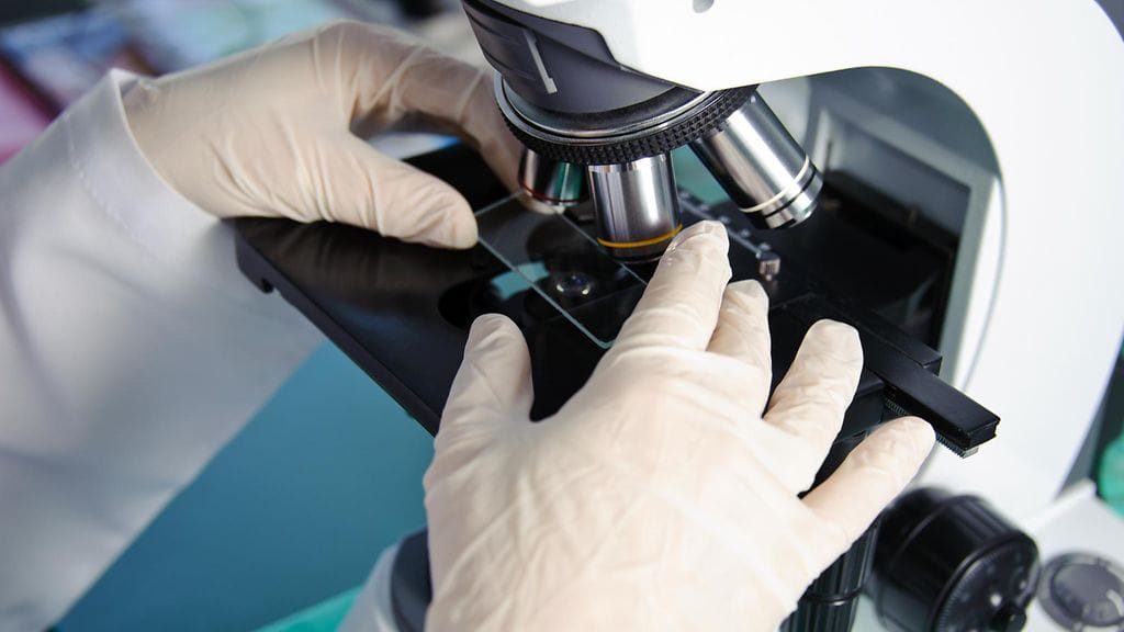 Tulokset julkaistiin Nature Communications -lehdessä.  Kuvituskuva.