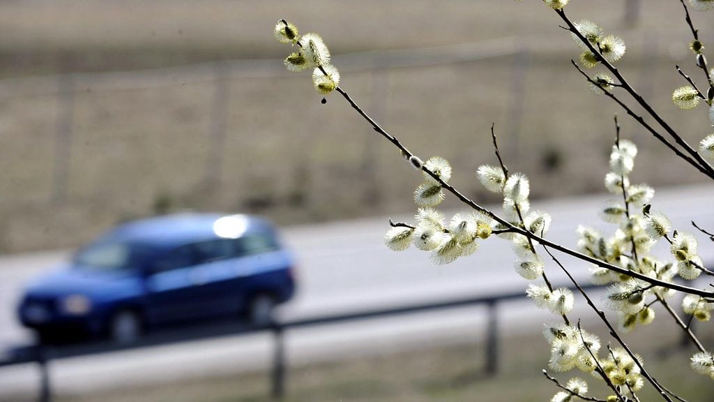 Pääsiäisen pitkä viikonloppu päättyy koleassa säässä koko Suomessa.