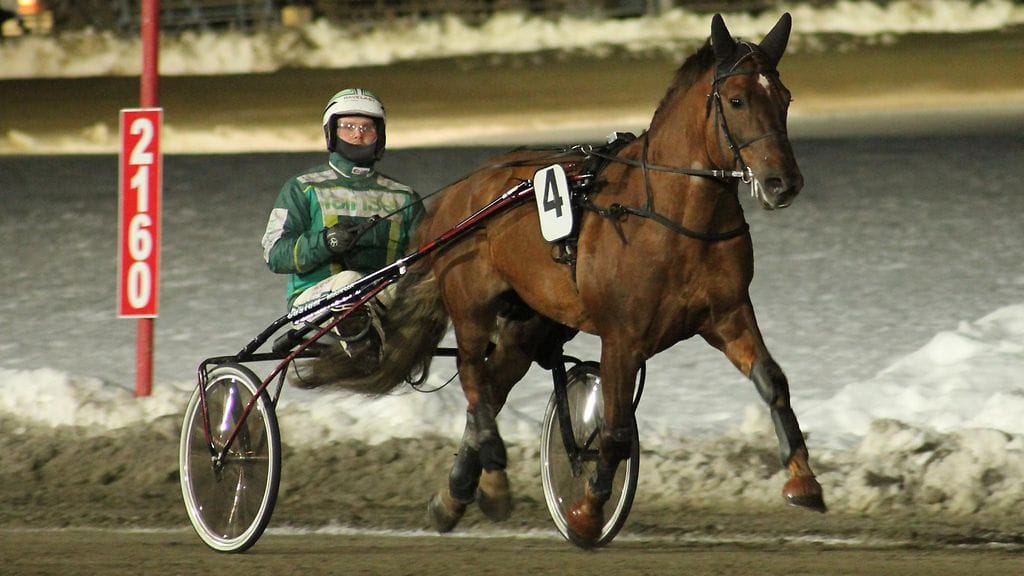 Koivikon Kalle sai varovaisen toiveikkaan arvion.