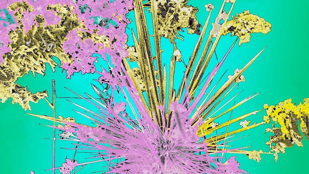 Hiilinanoputkia, jotka kuljettavat syöpälääkkeitä.