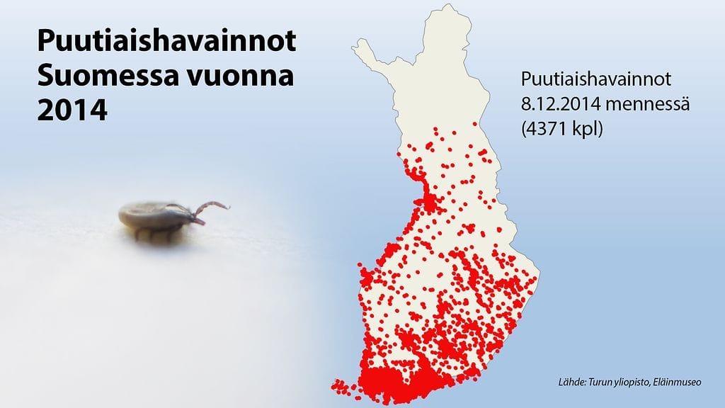 Ihmiselle haitalliset punkit ovat levinneet jo Pohjois-Suomeenkin.