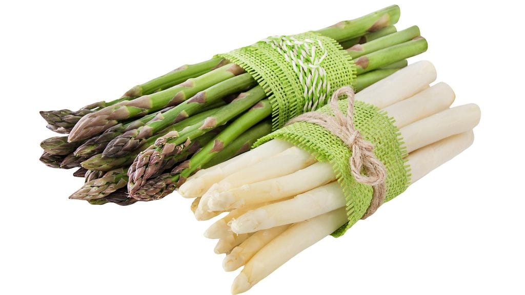 shutterstock_267163004