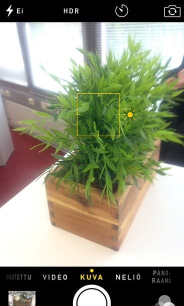 tarkennus1