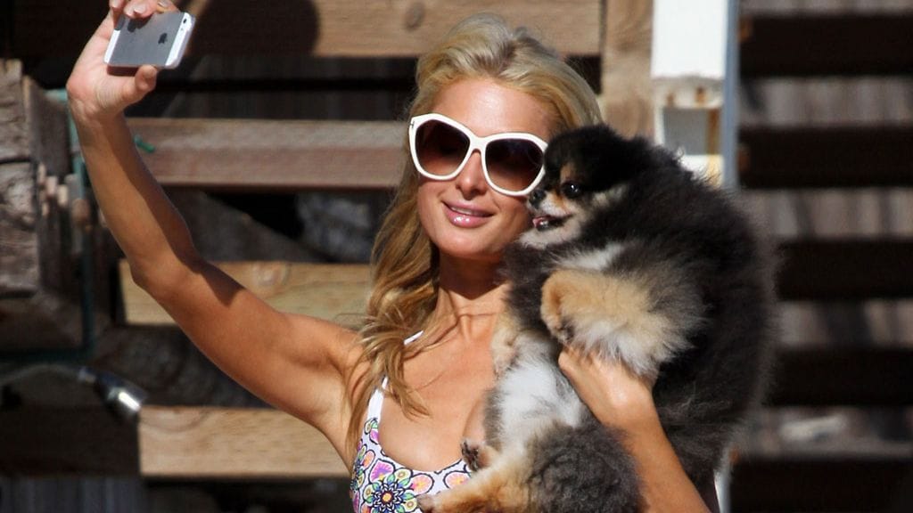 paris hilton, selfie
