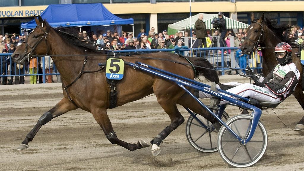Venice voitti Kasvattajakruunu-finaalin jo 2-vuotiskaudellaan.