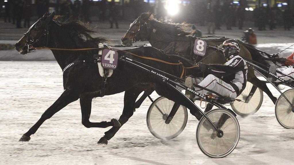 MTV Ravien Toto65-vihjeissä luotetaan Tomorrowlandiin.