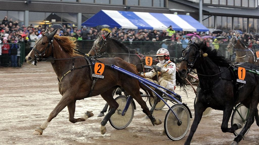 Seinäjoki-race on ollut viime vuosina italialais- ja ruotsalaisjuhlaa. Vuonna 2013 voiton vei Nesta Effe rattaillaan Roberto Vecchione.