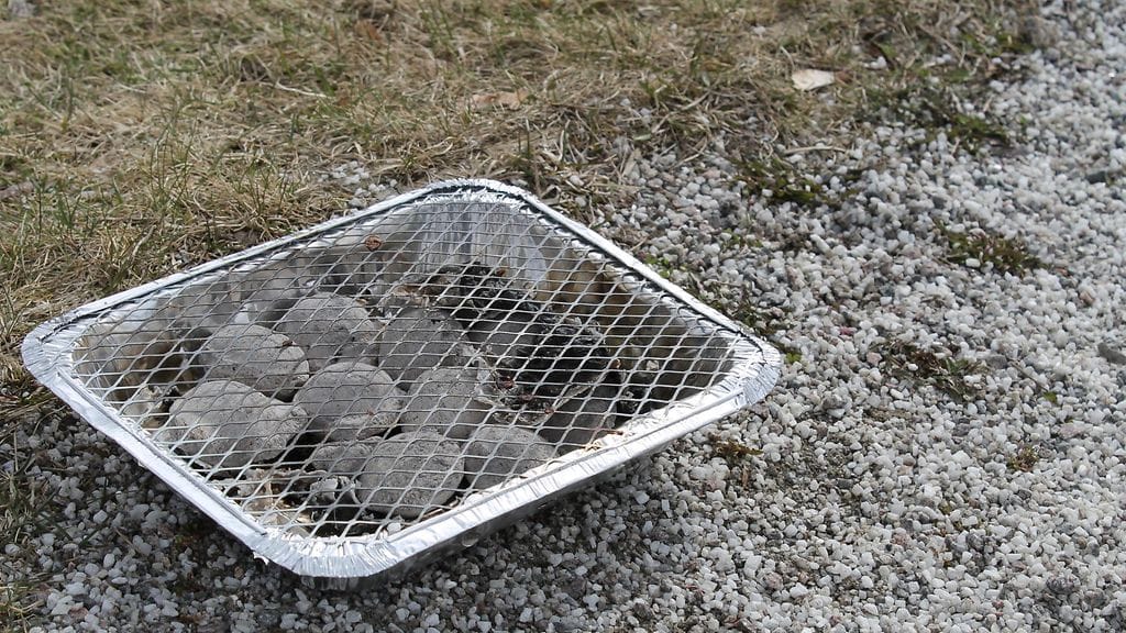 Myös kertakäyttögrillien käyttö on kiellettyä metsäpalovaroituksen aikana.